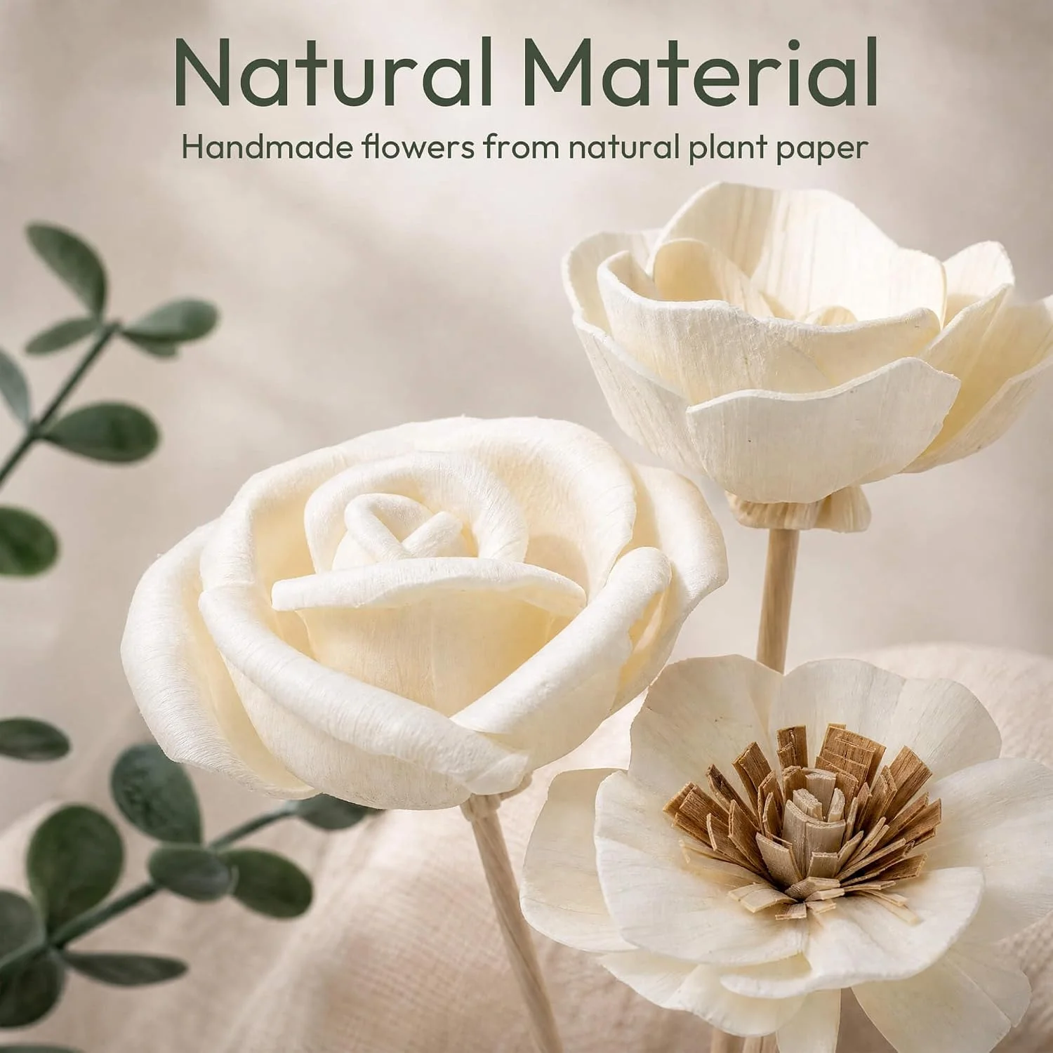 Eucalyptus flower diffuser sticks, Natural: close view of flowers and foliage
